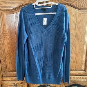 The Limited Knit V Neck Sweater Blue Large Tall